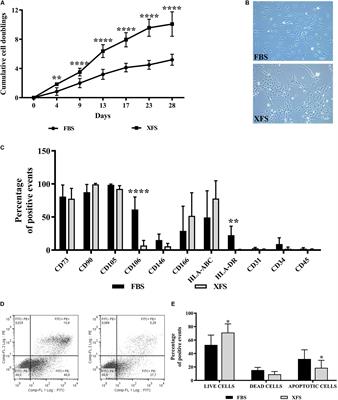 The Secretome Derived From Mesenchymal Stromal Cells Cultured in a Xeno-Free Medium Promotes Human Cartilage Recovery in vitro